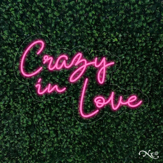 Crazy in love neon sign