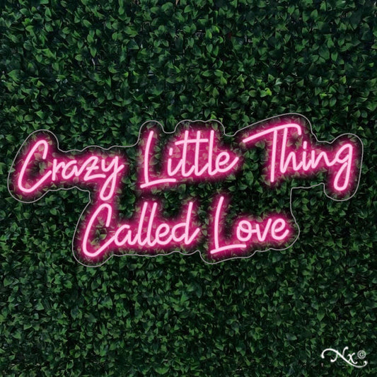crazy little thing called love neon sign
